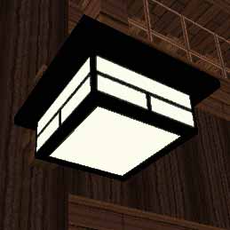 Light